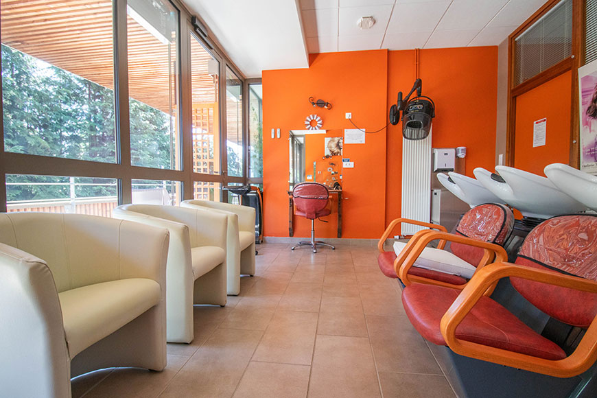Le_salon_de_coiffure.jpg